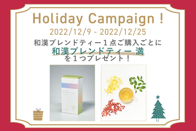 Holiday Campaign !